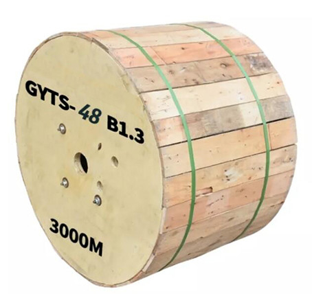 GYTS SM Armored 48 Core Fiber Optic Cable Outdoor 9/125u for Telecom Communication