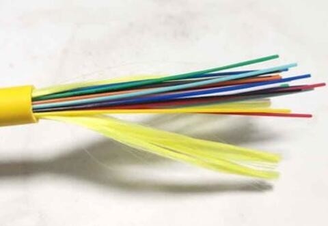 SM Single Mode Optic Cable 48 Core LSZH GJFJV-48B1 Date Center 9/125 PE PVC